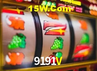 Login Seguro 9191V